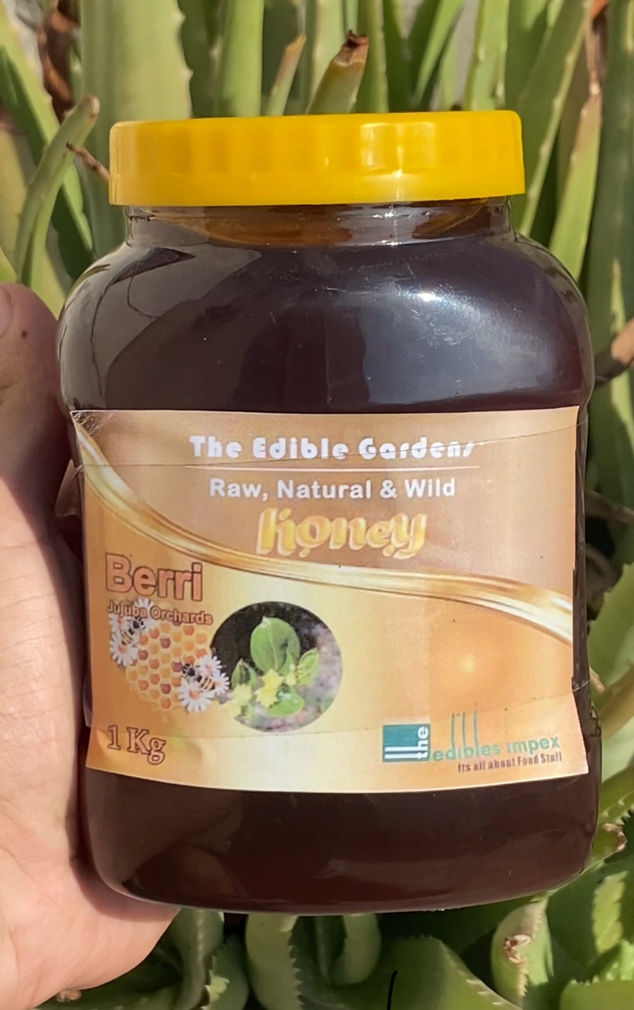 Natural Berri (Sidr) Honey 1KG