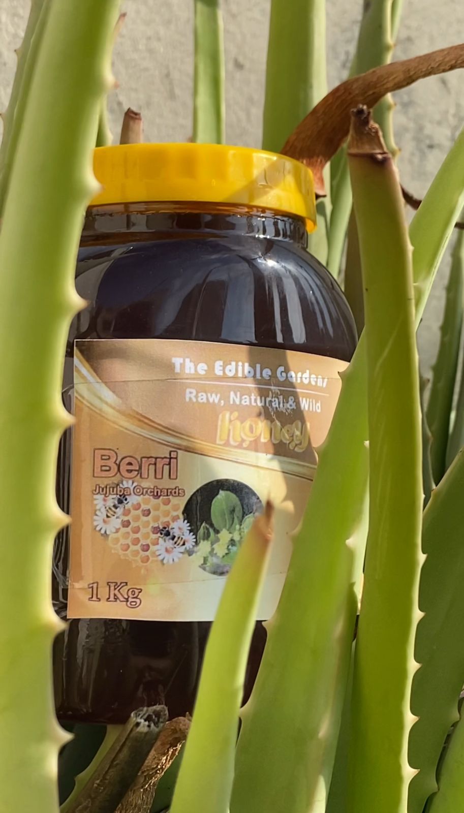 Natural Berri (Sidr) Honey 1KG